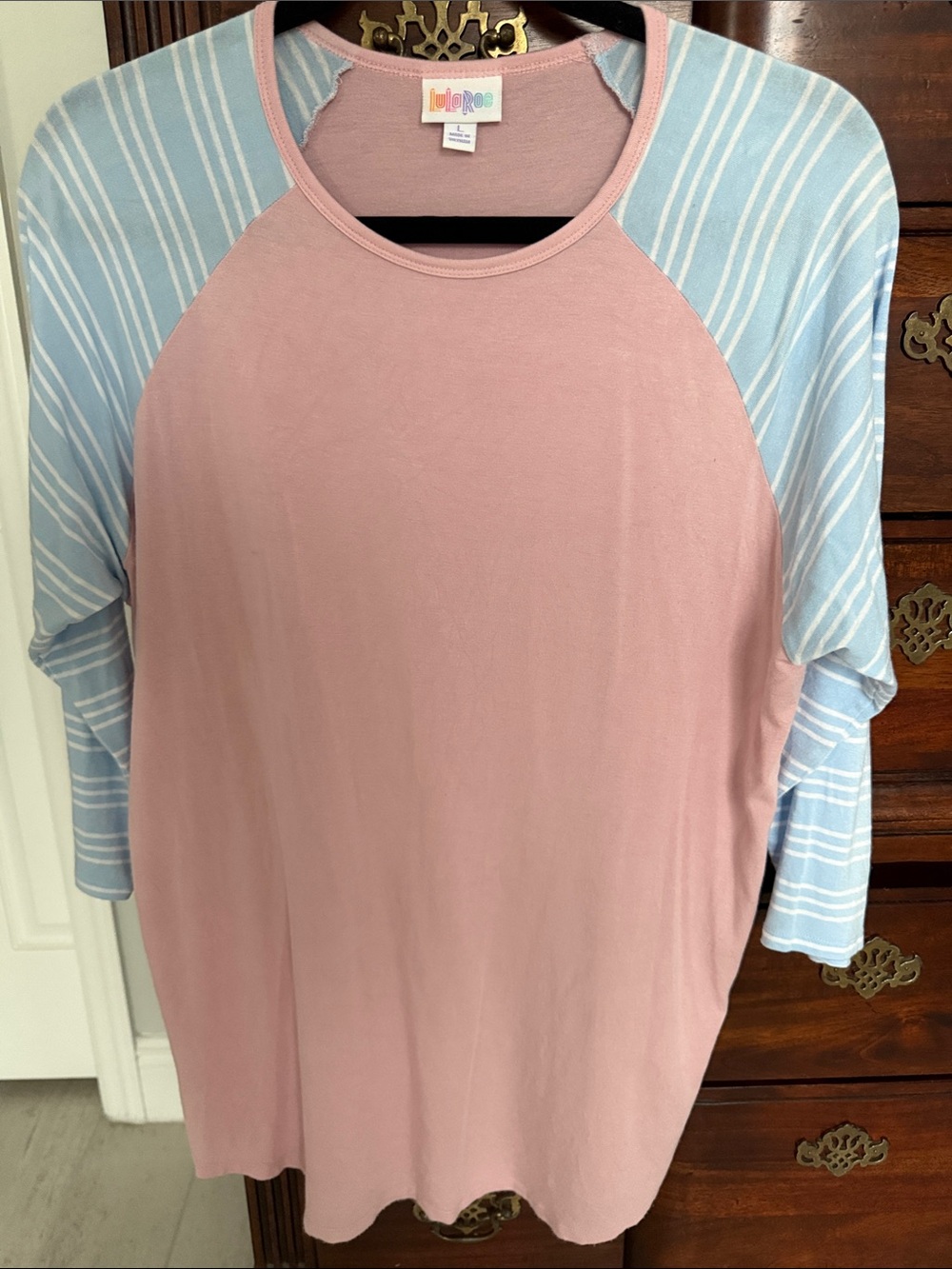 LuLaRoe Pink Raglan Top with Light Blue Striped Sleeves